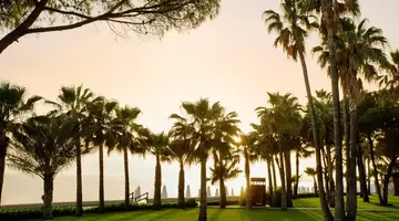 Acanthus Cennet Barut Collection