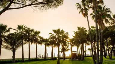 Acanthus Cennet Barut Collection