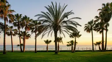 Acanthus Cennet Barut Collection