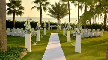 Acanthus Cennet Barut Collection
