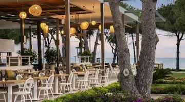 Acanthus&Cennet Barut Collection