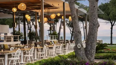Acanthus&Cennet Barut Collection