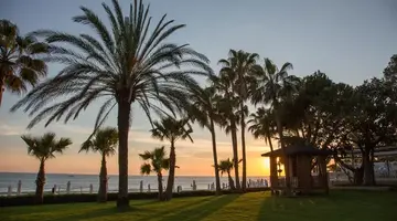Acanthus Cennet Barut Collection