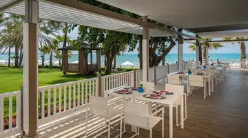 Acanthus Cennet Barut Collection