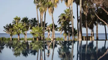 Acanthus & Cennet Barut Collection