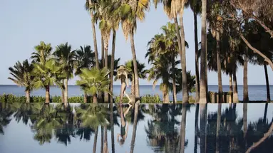 Acanthus & Cennet Barut Collection