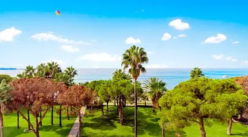 Acanthus Cennet Barut Collection