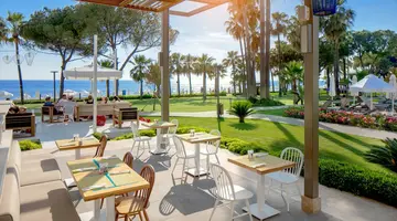 Acanthus Cennet Barut Collection