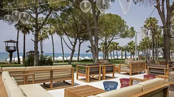 Acanthus Cennet Barut Collection