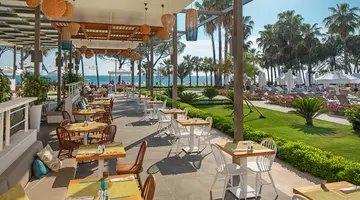ACANTHUS CENNET BARUT COLLECTION