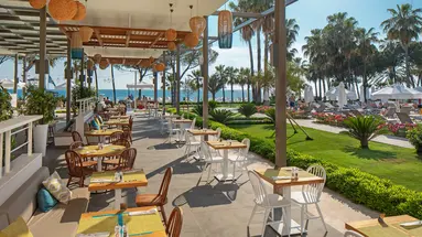 ACANTHUS CENNET BARUT COLLECTION