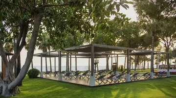 Acanthus & Cennet Barut Collection