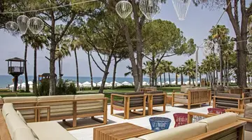 Acanthus Cennet Barut Collection