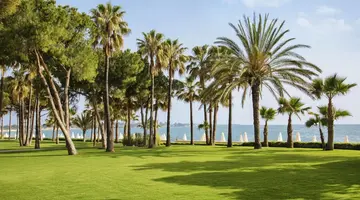 Acanthus Cennet Barut Collection