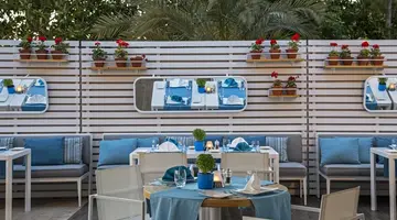 Acanthus&Cennet Barut Collection