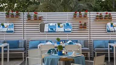 Acanthus&Cennet Barut Collection