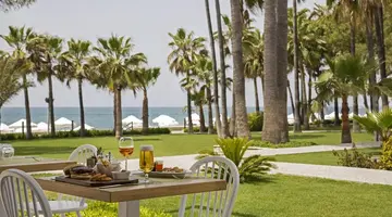 Acanthus&Cennet Barut Collection