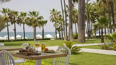 Acanthus&Cennet Barut Collection
