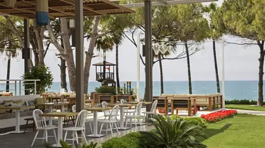 Acanthus & Cennet Barut Collection