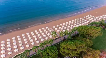 Acanthus Cennet Barut Collection