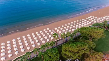 Acanthus Cennet Barut Collection