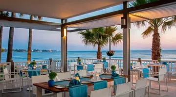 Acanthus Cennet Barut Collection