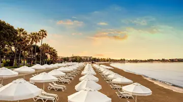 Acanthus Cennet Barut Collection