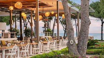 ACANTHUS CENNET BARUT COLLECTION