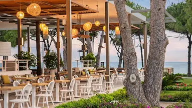 ACANTHUS CENNET BARUT COLLECTION