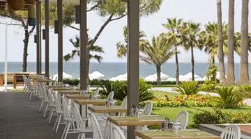 ACANTHUS CENNET BARUT COLLECTION