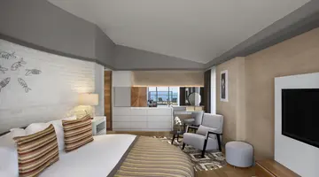 ACANTHUS CENNET BARUT COLLECTION