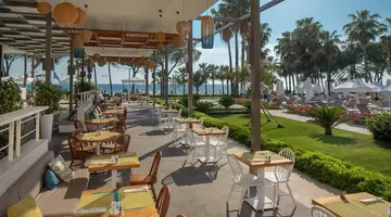 Acanthus Cennet Barut Collection