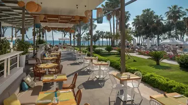 Acanthus Cennet Barut Collection