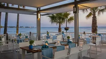 Acanthus&Cennet Barut Collection