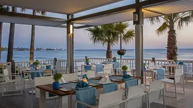 Acanthus&Cennet Barut Collection