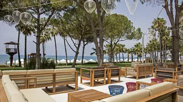 ACANTHUS CENNET BARUT COLLECTION