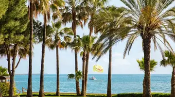 Acanthus Cennet Barut Collection
