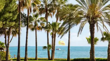 Acanthus Cennet Barut Collection