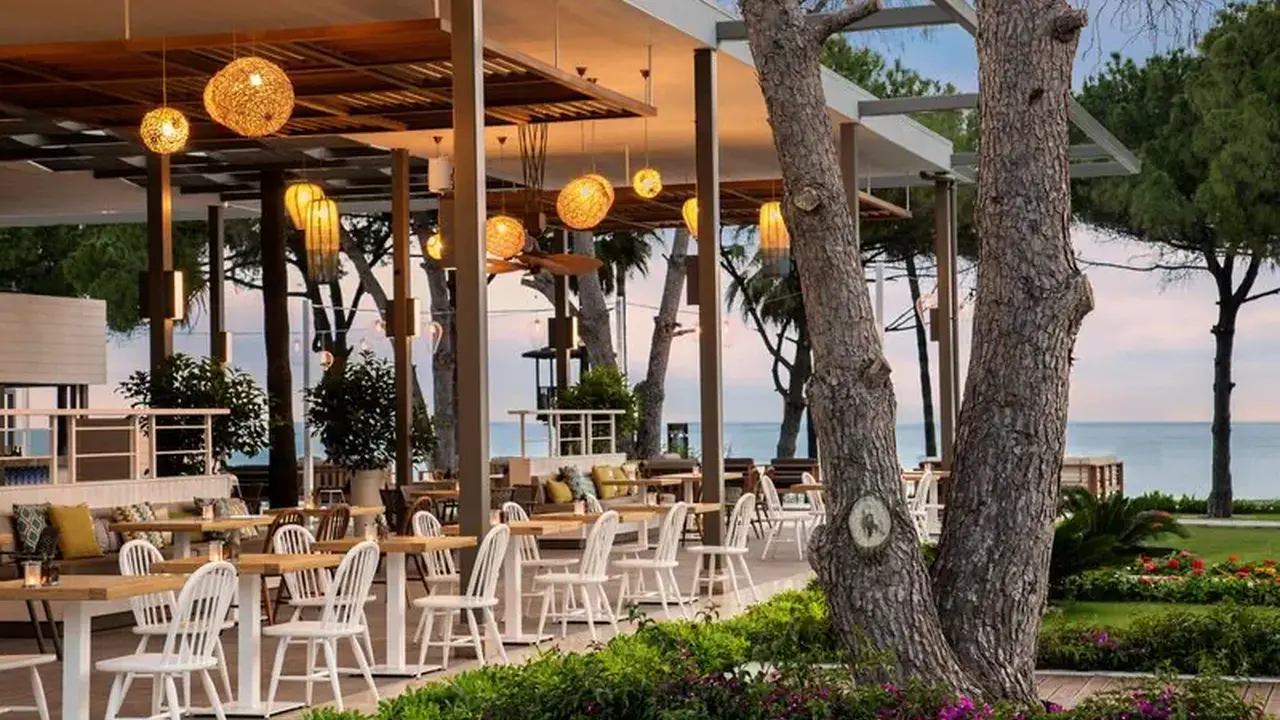 Acanthus & Cennet Barut Collection