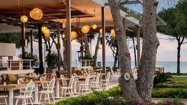 Acanthus Cennet Barut Collection