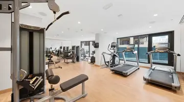 Adagio Premium The Palm