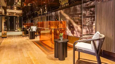 Adia Aluma Athens, Curio Collection by Hilton