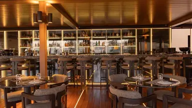Adia Aluma Athens, Curio Collection by Hilton
