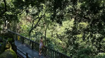 Adiwana Suweta