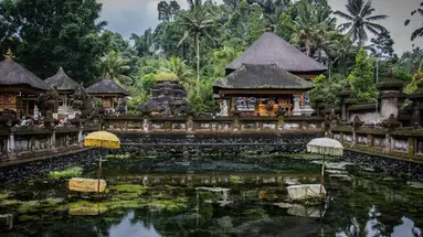 Adiwana Suweta