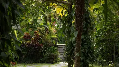 Adiwana Unagi Suites