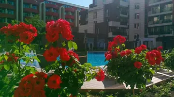 Admiral Plaza Hotel