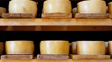Adriatycki Express