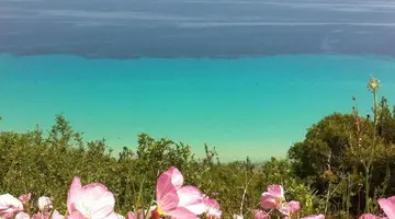 Aegean Blue Studios