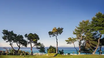Aegean Melathron Thalasso and Spa